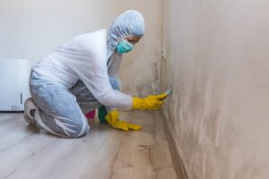 Technician cleaning structural surfaces during mold remediation in Charlotte