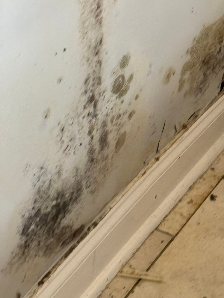Mold removal Charlotte NC interior wall damage before remediation