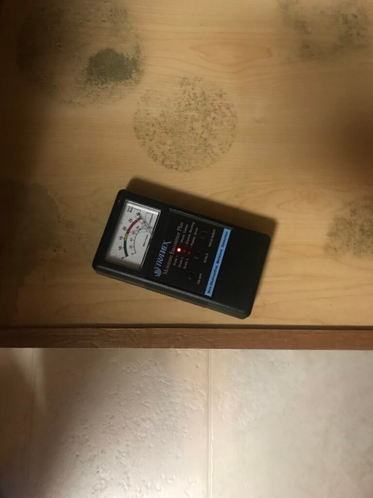 Mold inspection and removal in Charlotte NC home after water damage