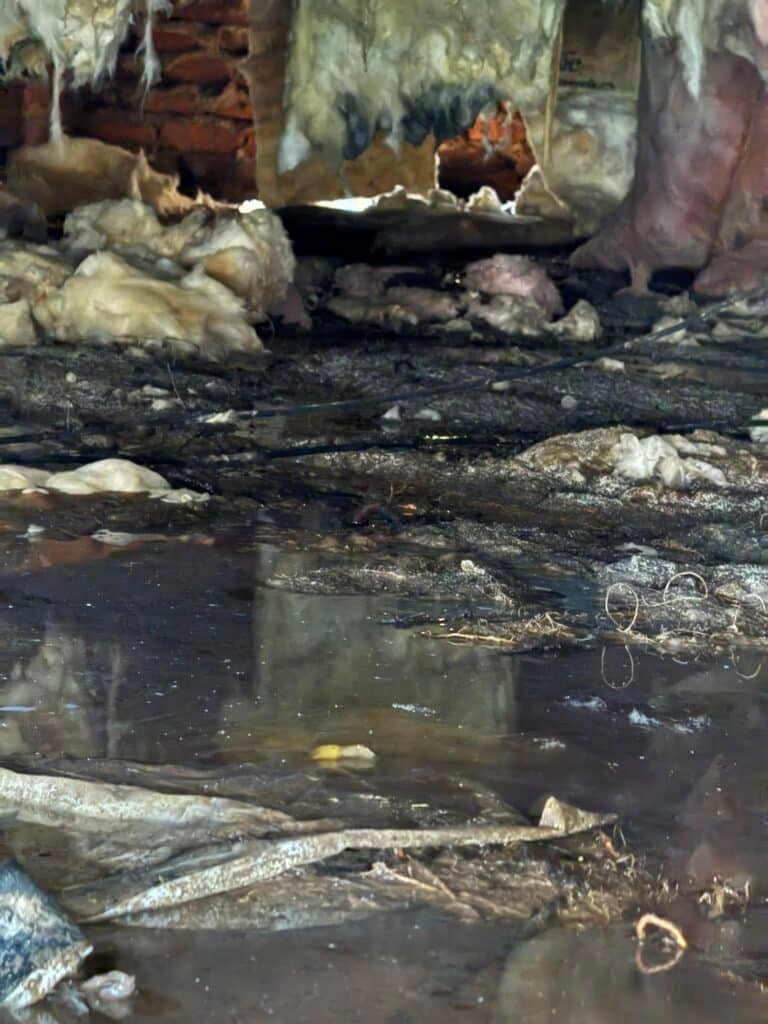 Standing water and debris inside a crawl space showing severe moisture damage under a home in Charlotte NC