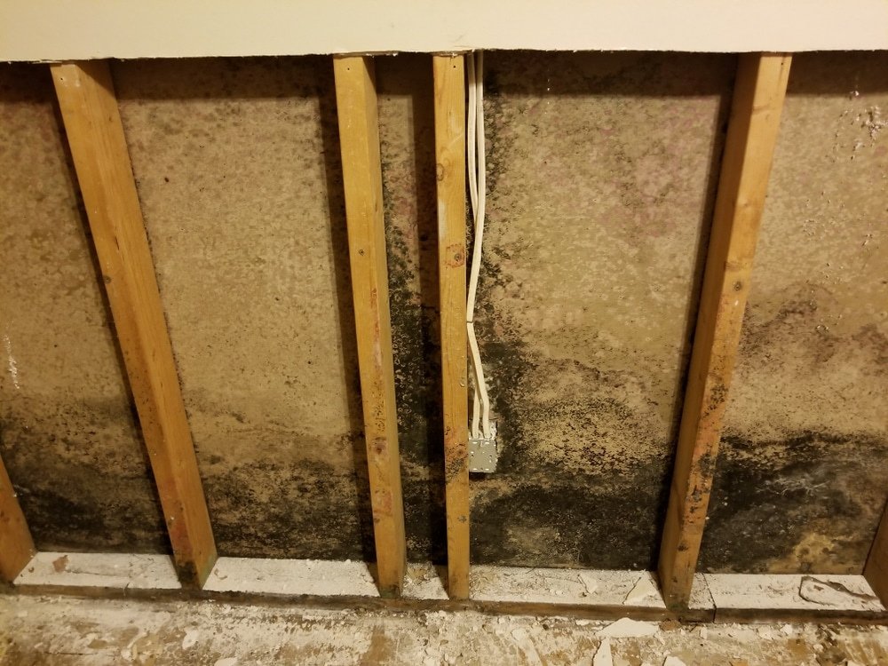 Hidden water damage staining and moisture buildup near an interior wall and ceiling area in a Charlotte