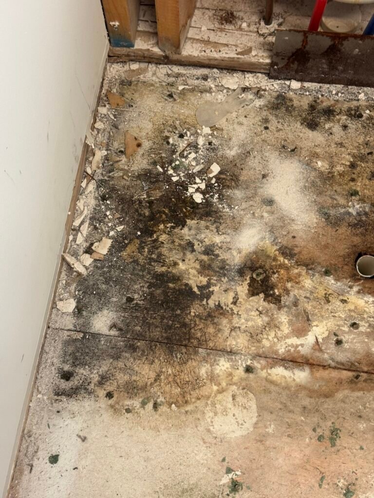Water damage spreading through wood framing and structural materials after plumbing leak