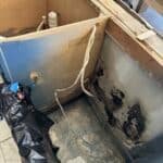 how to identify and treat black mold growth in a Charlotte NC home
