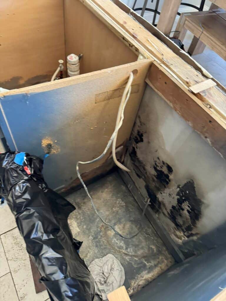 how to identify and treat black mold growth in a Charlotte NC home