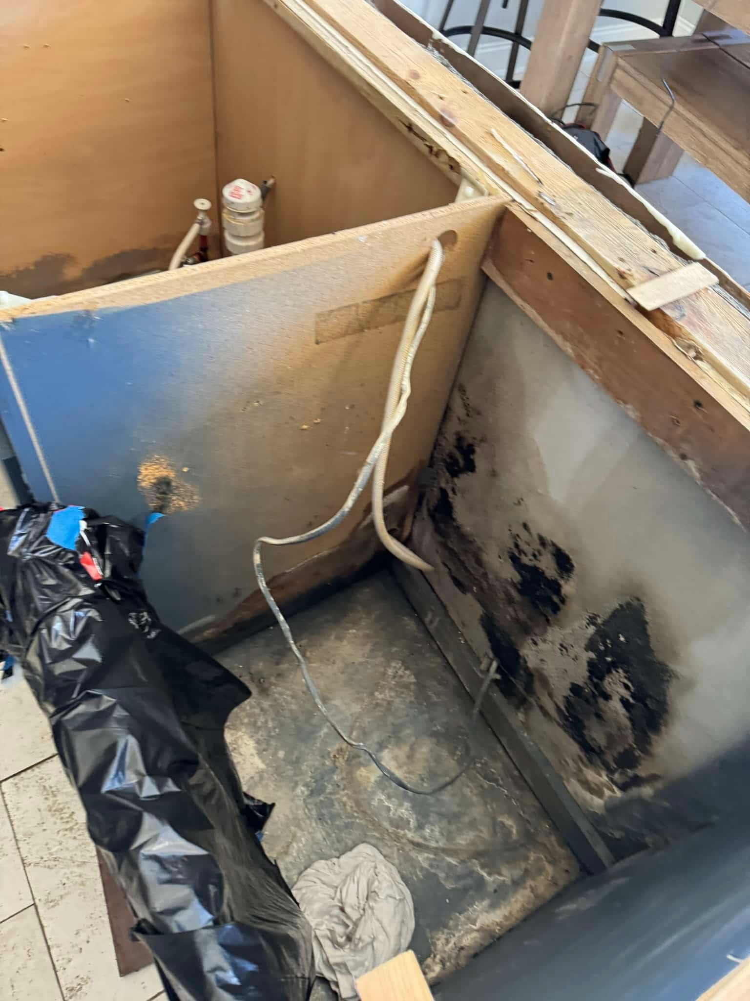 Black mold removal and treatment in a Charlotte, NC home