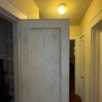 mold inside closet - mold without water damage