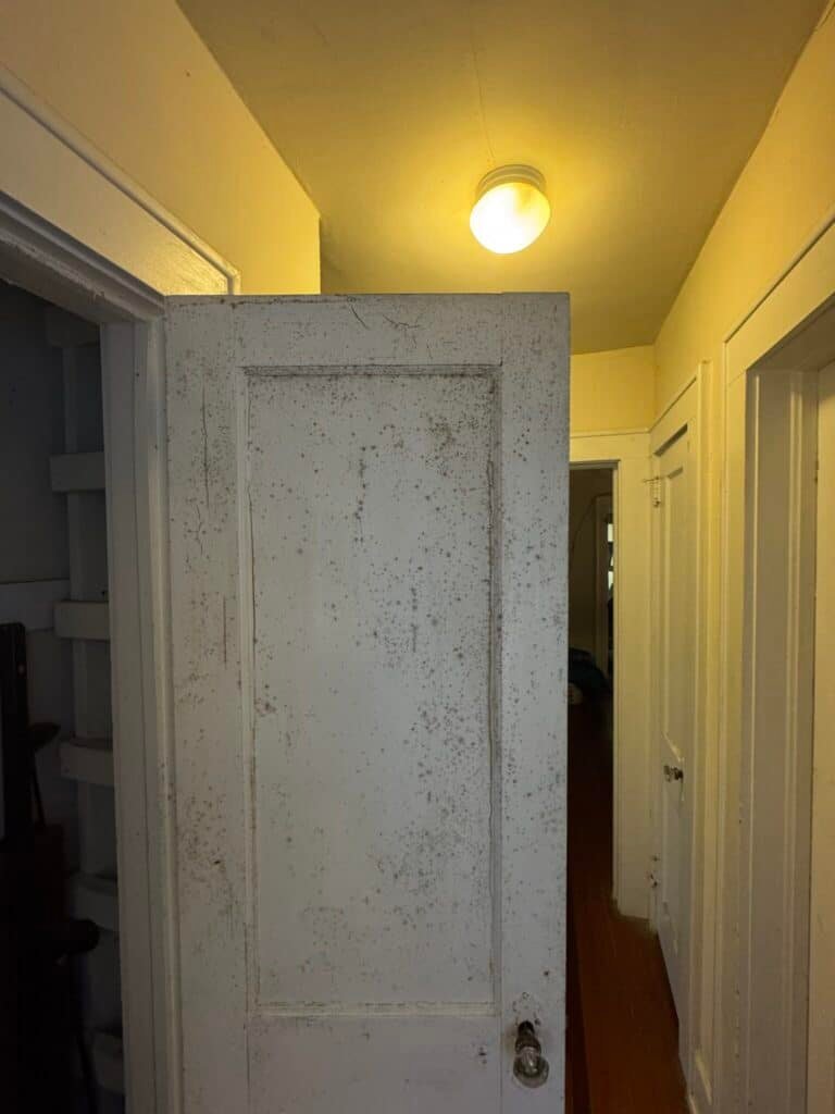 mold inside closet - mold without water damage